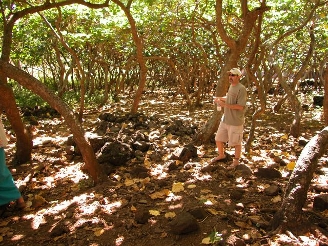 20070525T100623_dscn0044_1.jpg