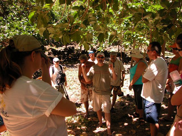 20070525T110245_dscn0079_1.jpg