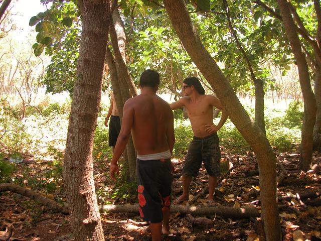 20070526T113904_dscn0174.jpg