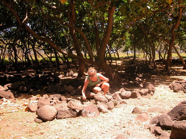 20070526T114440_dscn0182.jpg