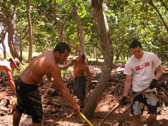 20070526T114813_dscn0188.jpg