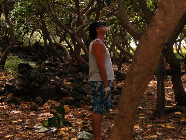 20070527T161612_dscn0017.jpg