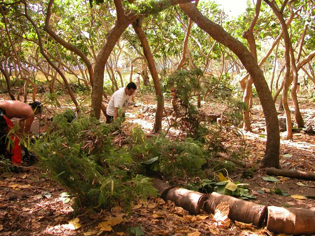 20070527T161652_dscn0019.jpg
