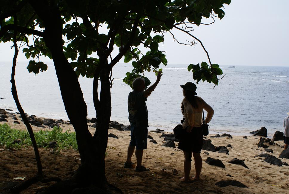 20080522T023845_dsc03115.jpg