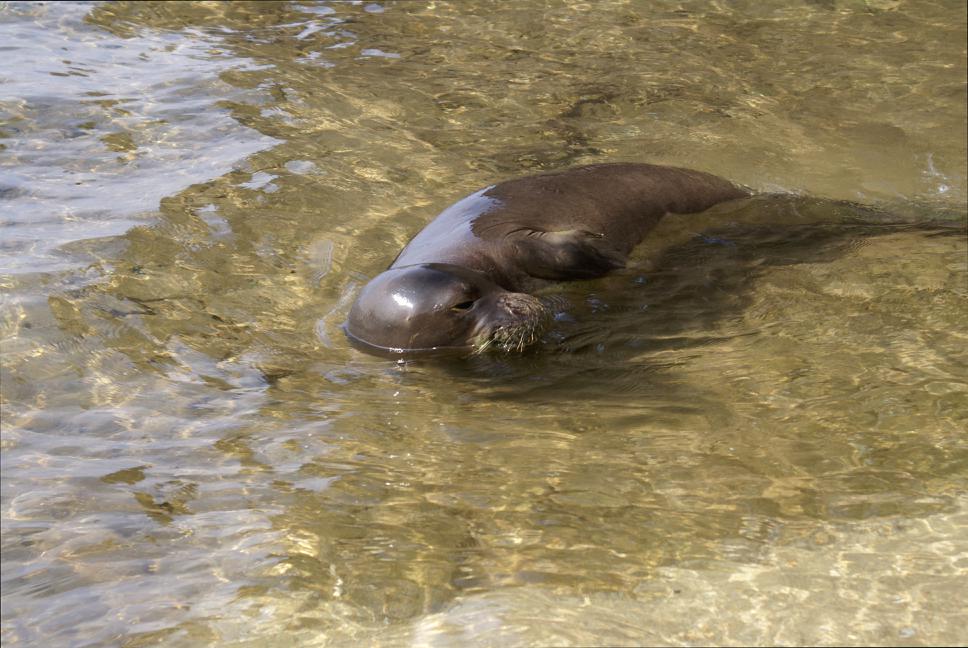 20080917T103954_dsc03135.jpg